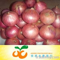 Sell fresh red onion