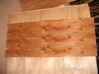 Sell  Plywood & core veneer