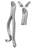 Sell Dental Extracting Forceps american Pattern Dental Instruments Surgical instruments
