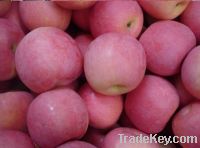 Sell Fresh Fuji Apple fruit of high quality and good price