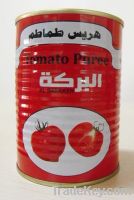 Sell canned  Tomato Paste