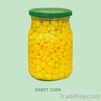 Sell canned sweet corn kernel