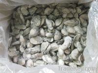 Sell frozen oyster meat