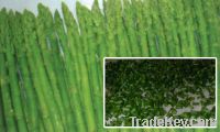 Sell Freeze dried asparagus