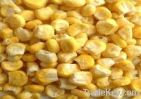 Sell Freeze dried sweet corn