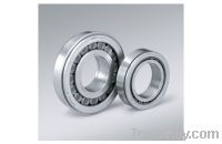 Cylindrical roller bearing reasonable price