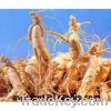 high quality ginseng extract