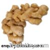 ginger extract(Gingembre acre)