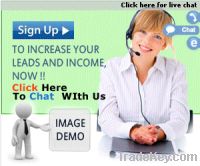 Interactive Internet Marketing