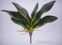 Sell ficus tree, tropical plants, florist, artificial flower, fake trees