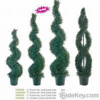 Sell topiary tree, spiral tree