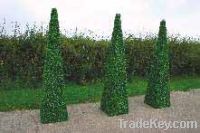 Sell US style topiary tree, spiral tree