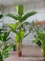 Sell banana tree, artificial palm plants, fern bushes