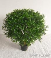 Sell artificial topiary tree, spiral tree, boxwood tree