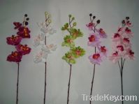 Sell cheapest orchid flowers 0.3usd per branch