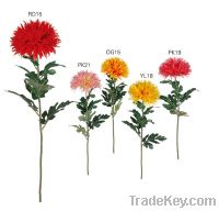 Hot Sell new style of Chrysanthemum flowers, DVP125