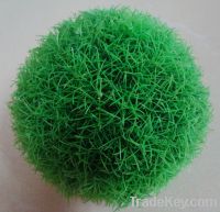 Sell boxwood ball topiary