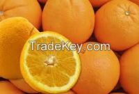 Fresh Valencia Orange