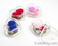 Sell high quality Yunnan preserved flower gift