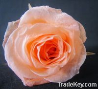 Sell Valentine\'s day preserved rose