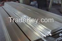 Stainless Steel 310 Flat
