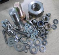 Stainless Steel Fastener