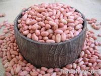 peanut kernels 24/28