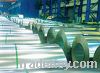 Sell Galvanized steel coil  SGCC