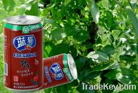 Sell canned sugar free soft drink