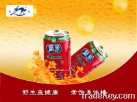 Sell canned jujube juice(Manufacturer)