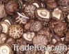 Sell dried mushroom, tuckahoe, clothes