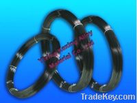 Sell Molybdenum Wire