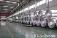Sell Aluminum Foil: Xinmei Ordinary Foil