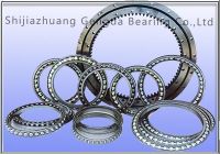 Slewing Bearing