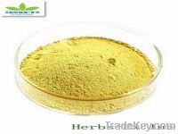 Sell Banaba Leaf Extract