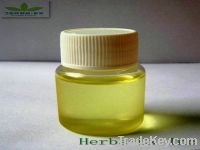 Sell Aroma Ginger Oil