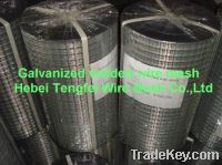 Sell electro galvanized welded wire mesh