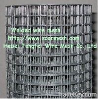 Sell hot dipped galvanized welded wire mesh