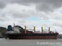 Sell New bulk Carrier 10800 DWT, Cargo ships