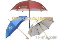 Advertising umbrella, promotion umbrella