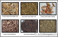 Sell Top quality pet food yellow mealworm animal feed