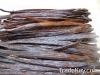 Sell Madagascar vanilla beans