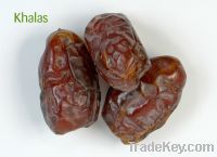 Sell  khalas dates  ( #1 UAE dates )