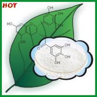 Sell EGCG powder