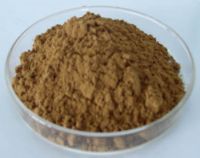 Sell Tribulus Terrestris Extract