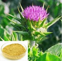Sell Water-Soluble Milk Thistle Extract