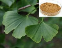 Sell Ginkgo Biloba Extracts