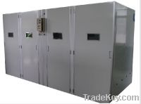 Sell automatic chicken egg incubator