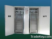 Sell incubator for chicken