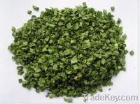 Sell dehydrated chive